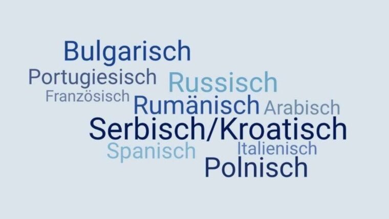 Sprachen im Sprachschwerpunkt Wirtschaft und Sprachen