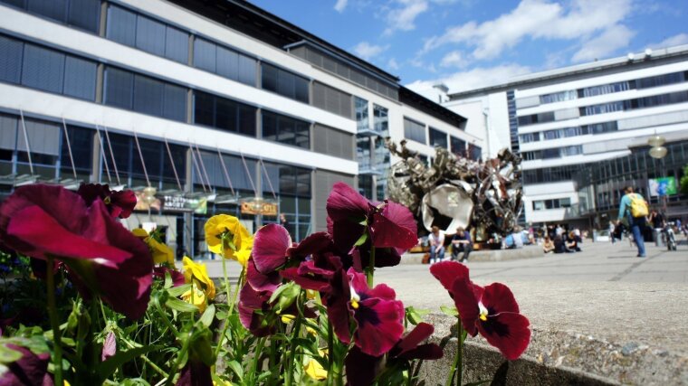 Campus