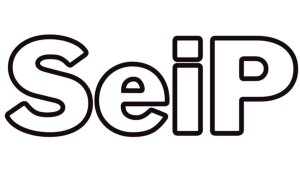SeiP - Selbstinszenierungspraktiken