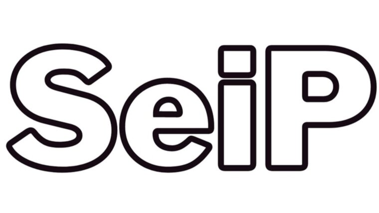 SeiP - Selbstinszenierungspraktiken