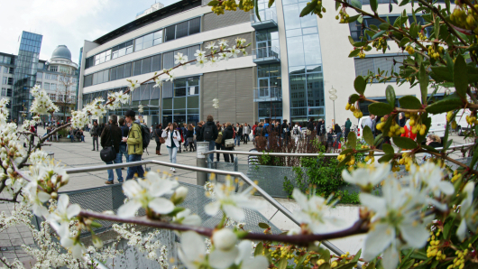 campus in spring